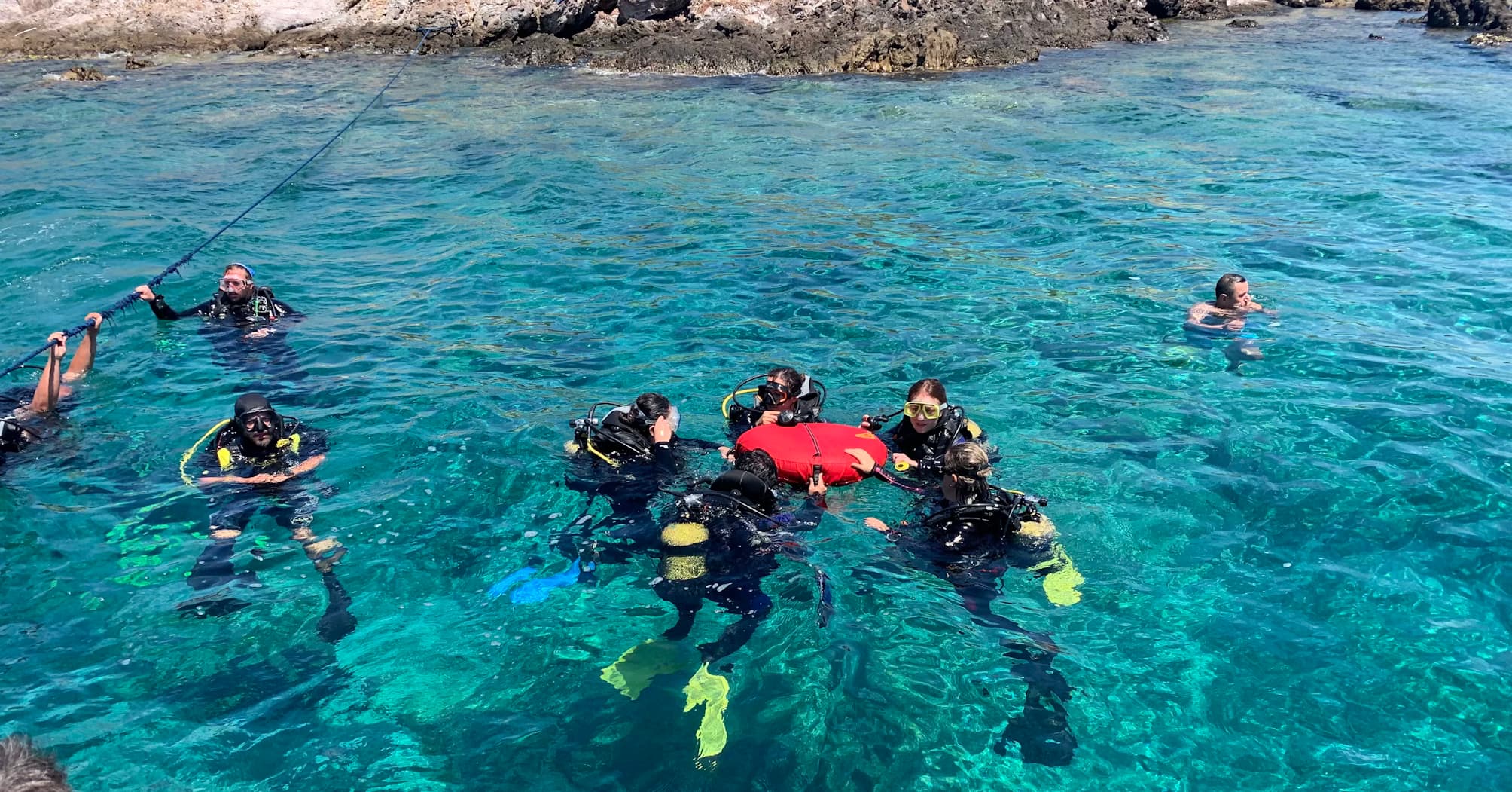 Marine Life Adventure
