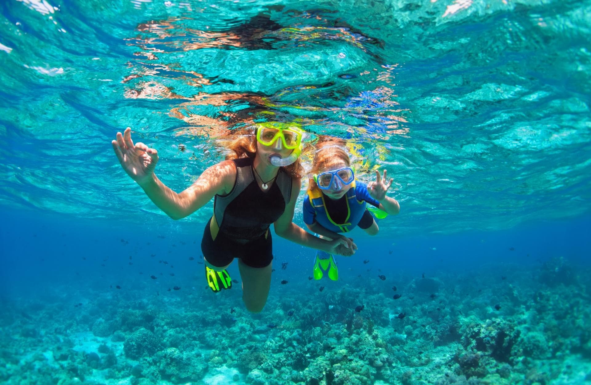 Snorkeling Gear Rental